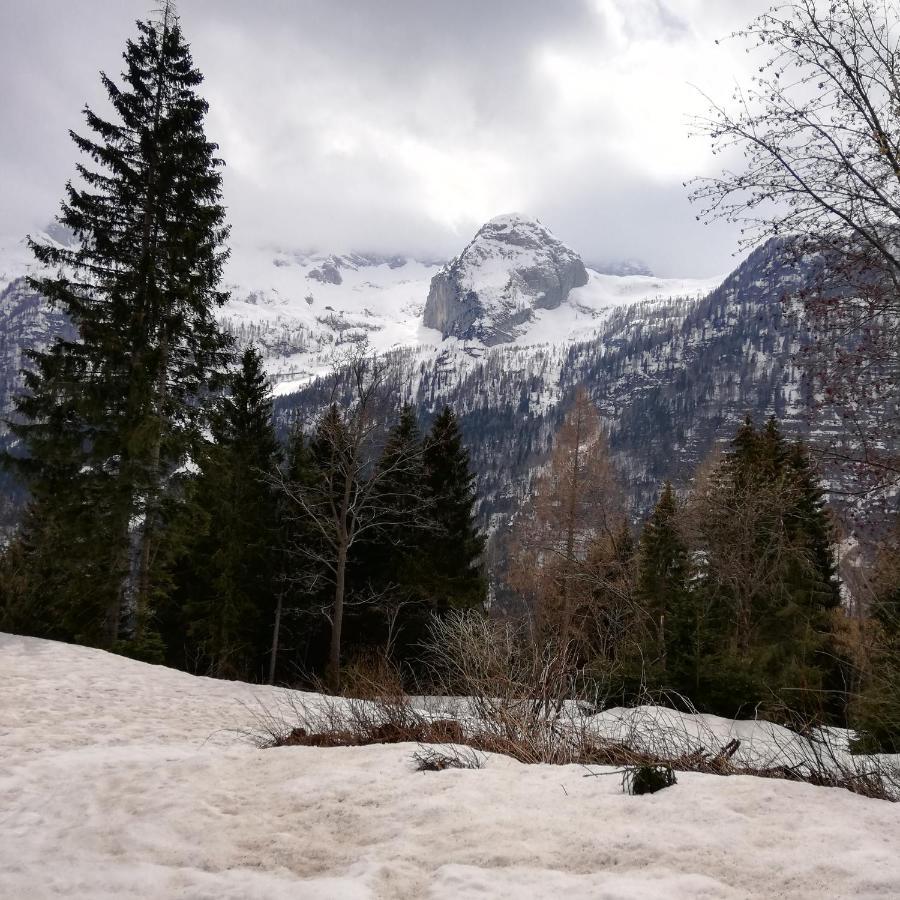 Ferienwohnung Il Risveglio Sella Nevea Exterior foto