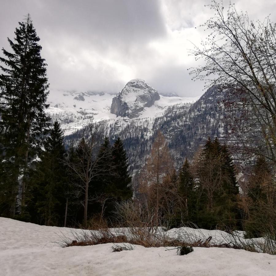 Ferienwohnung Il Risveglio Sella Nevea Exterior foto